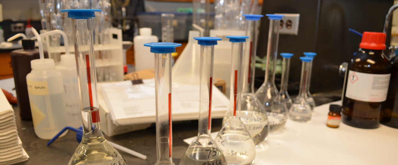 Capped Erlenmeyer flasks in lab